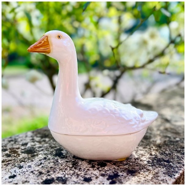 Fransk patform - Michel Caugant, hvid gs