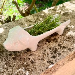 Plsegris - fransk, hvid 