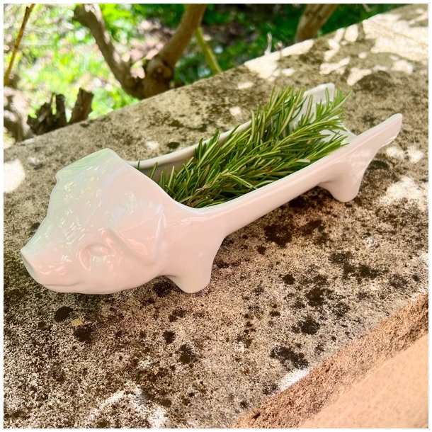 Plsegris - fransk, hvid 