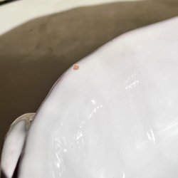 Fransk terrin - stor, hvid