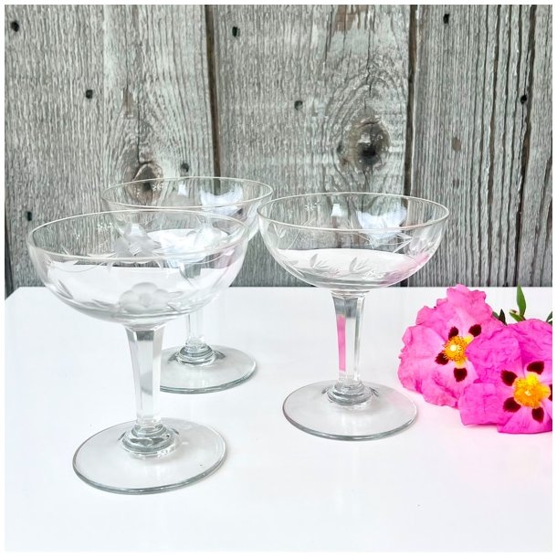 Champagneskle (6 stk samlet) - vintage fransk, ciceleringer 