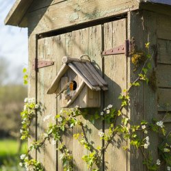 Fuglehus med l�ge - lille 