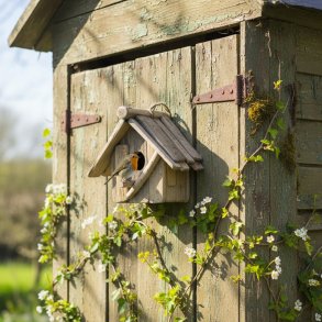 Fuglehus med l�ge - lille 