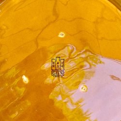 Fransk fonduetallerken - sennepsgul, to-delt, Gien 