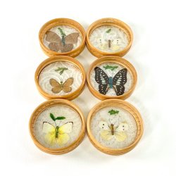 Coasters - glasbrikker m/sommerfugle (s�t a 6 stk)