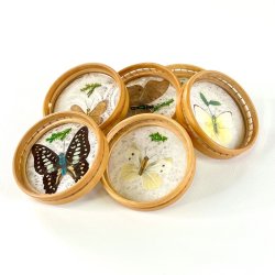 Coasters - glasbrikker m/sommerfugle (s�t a 6 stk)