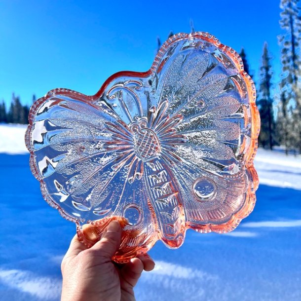 Glasfad - lyserdt, sommerfugl