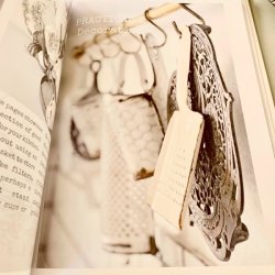 Brilliant Reuse (hardcover) 