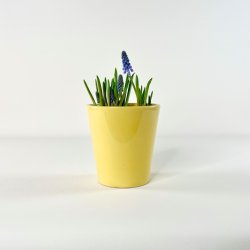 Potteskjuler gul �12 cm