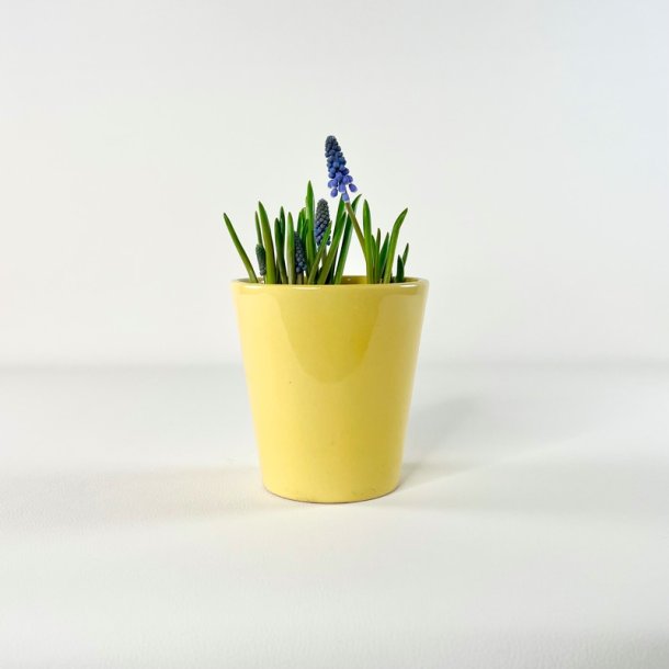 Potteskjuler gul �12 cm