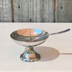 Isskl m/ske - Guy Degrenne 