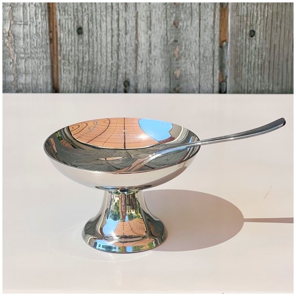 Isskl m/ske - Guy Degrenne 