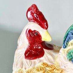 Hnekrukke - stor, farverig