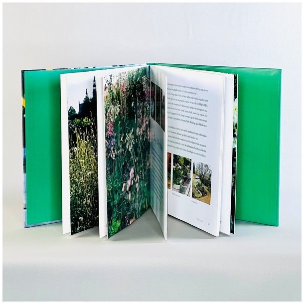 Have Haves af Stig Lauritsen 