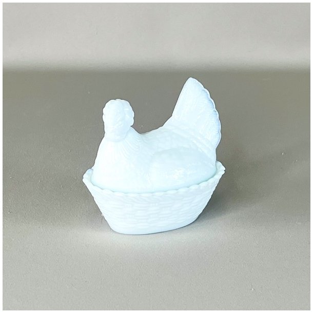 Hnekrukke - opaline, lille