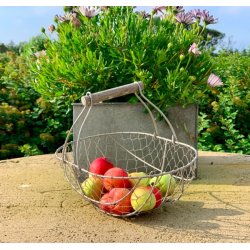 Kurv i fil-de-fer 