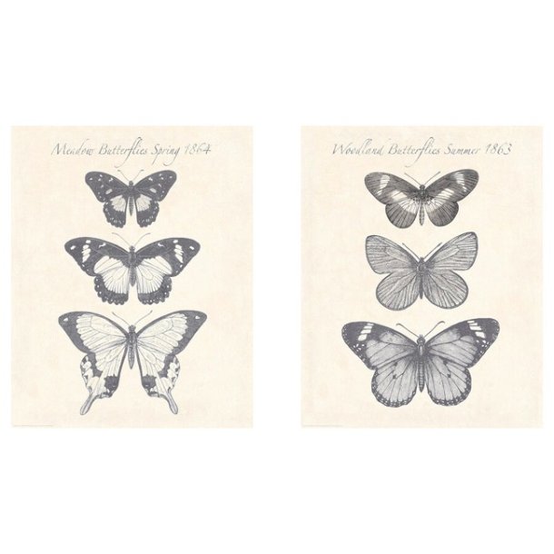 Canvas med sommerfugle (2 stk)