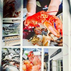 Amazing Retreats (hardcover) 