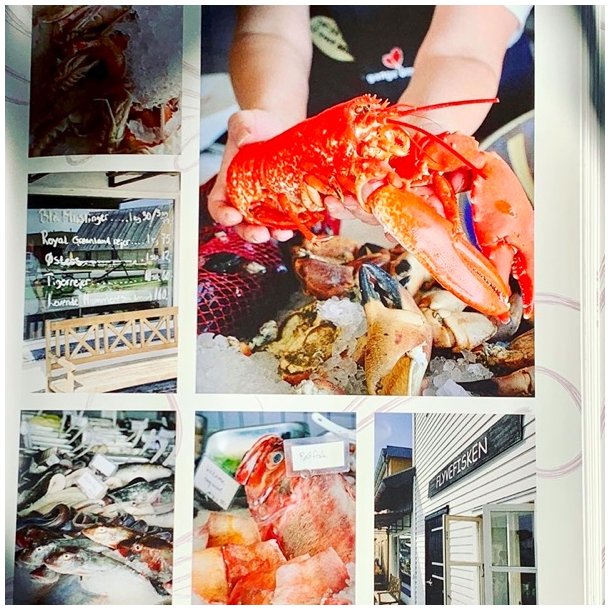 Amazing Retreats (hardcover) 