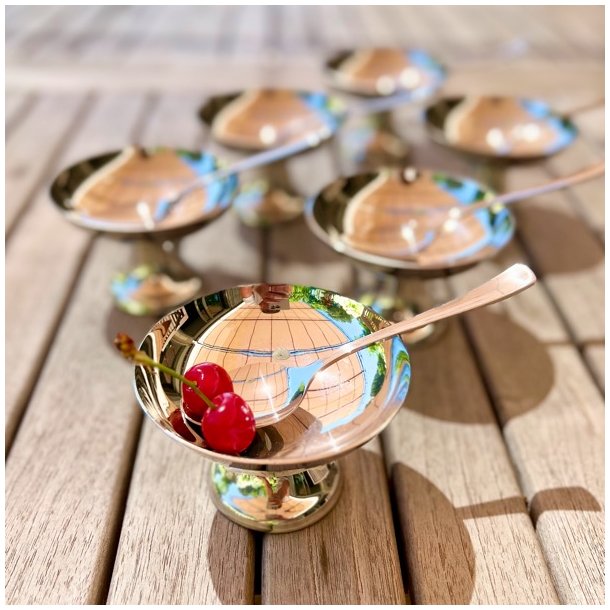 Isskl m/ske - Guy Degrenne 