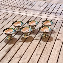 Isskl m/ske - Guy Degrenne 