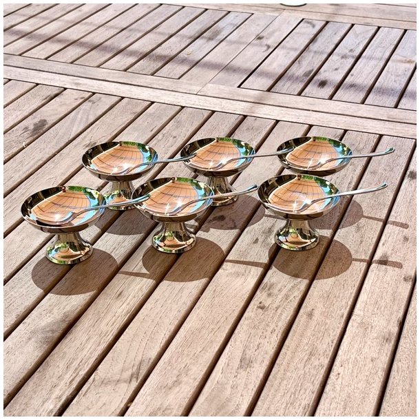 Isskl m/ske - Guy Degrenne 