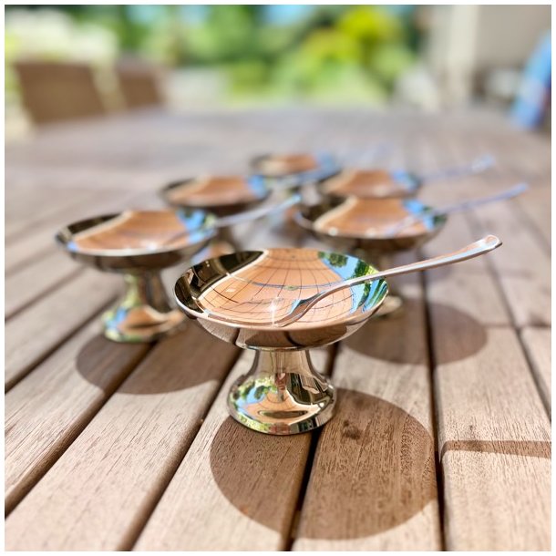 Isskl m/ske - Guy Degrenne 