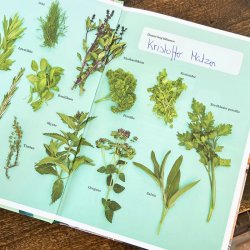Mit Kokkeri - kogebog for unge mennesker