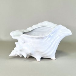 Konkylie potte - stor XL