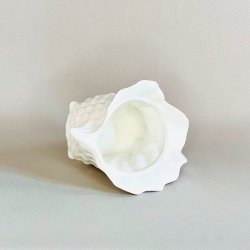 Konkylie potte - lille 