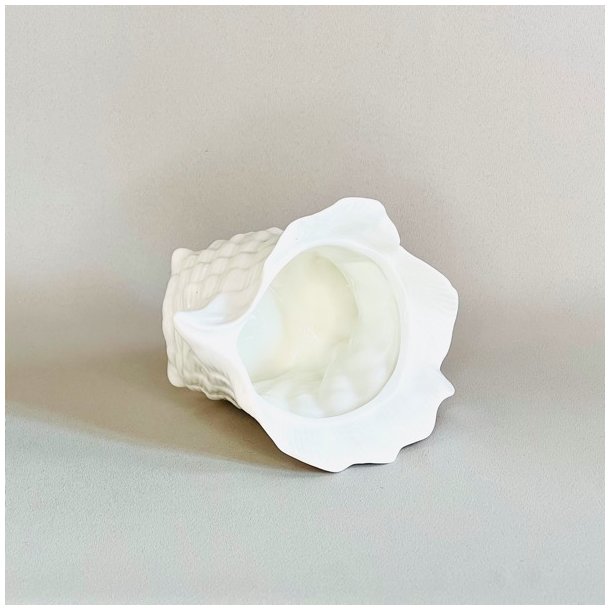 Konkylie potte - lille 