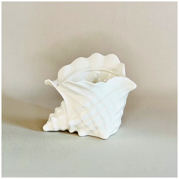 Konkylie potte - lille 