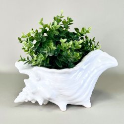 Konkylie potte - stor XL