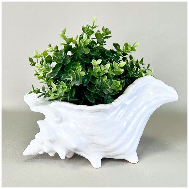 Konkylie potte - stor XL