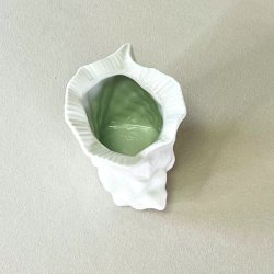 Konkylie potte - lille 