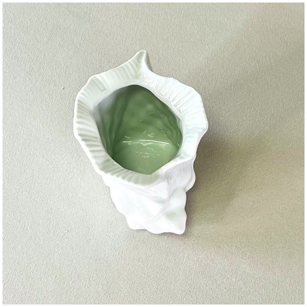 Konkylie potte - lille 