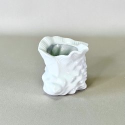 Konkylie potte - lille 