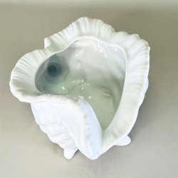 Konkylie potte - stor XL