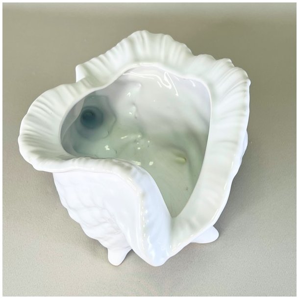 Konkylie potte - stor XL