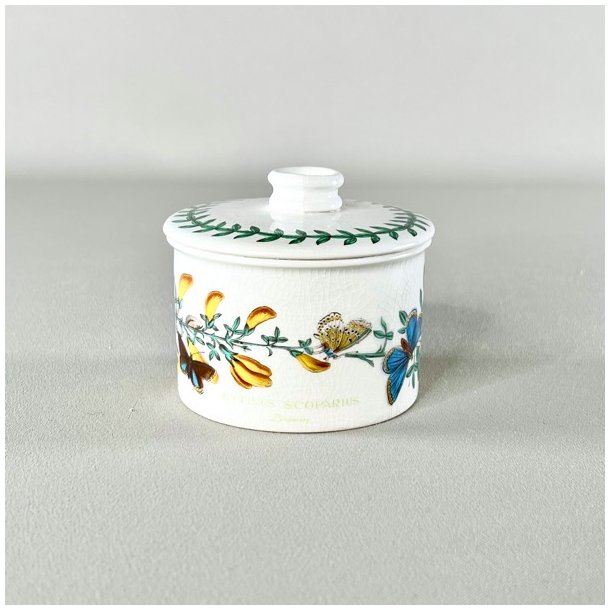 Lgkrukke - Portmeirion Botanic Garden 