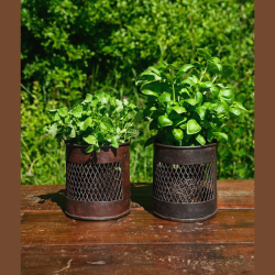 Mercer beholder i metal m/mesh