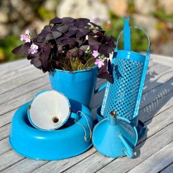 Madam Bl emalje rivejern