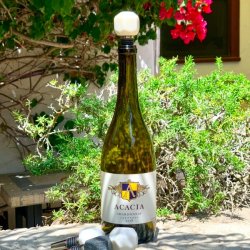 Vinprop m/top af sten