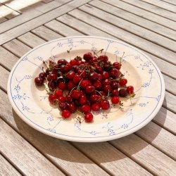 Fad - rundt, musselmalet 