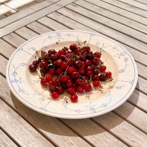 Fad - rundt, musselmalet 