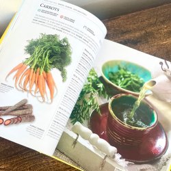 Healing Foods - Neal's Yard Remedies