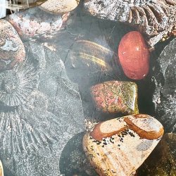 Tushita notesbog - blankbog, sten og fossiler