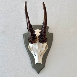 Bukkeopsats p malet plade - jagttrof