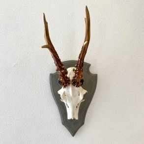 Bukkeopsats p malet plade - jagttrof, gr m/patina