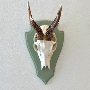Bukkeopsats p malet plade - jagttrof, grn 